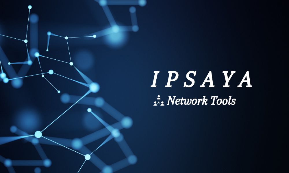 Ipsaya: An Innovative Financial Tool for Businesses In 2023